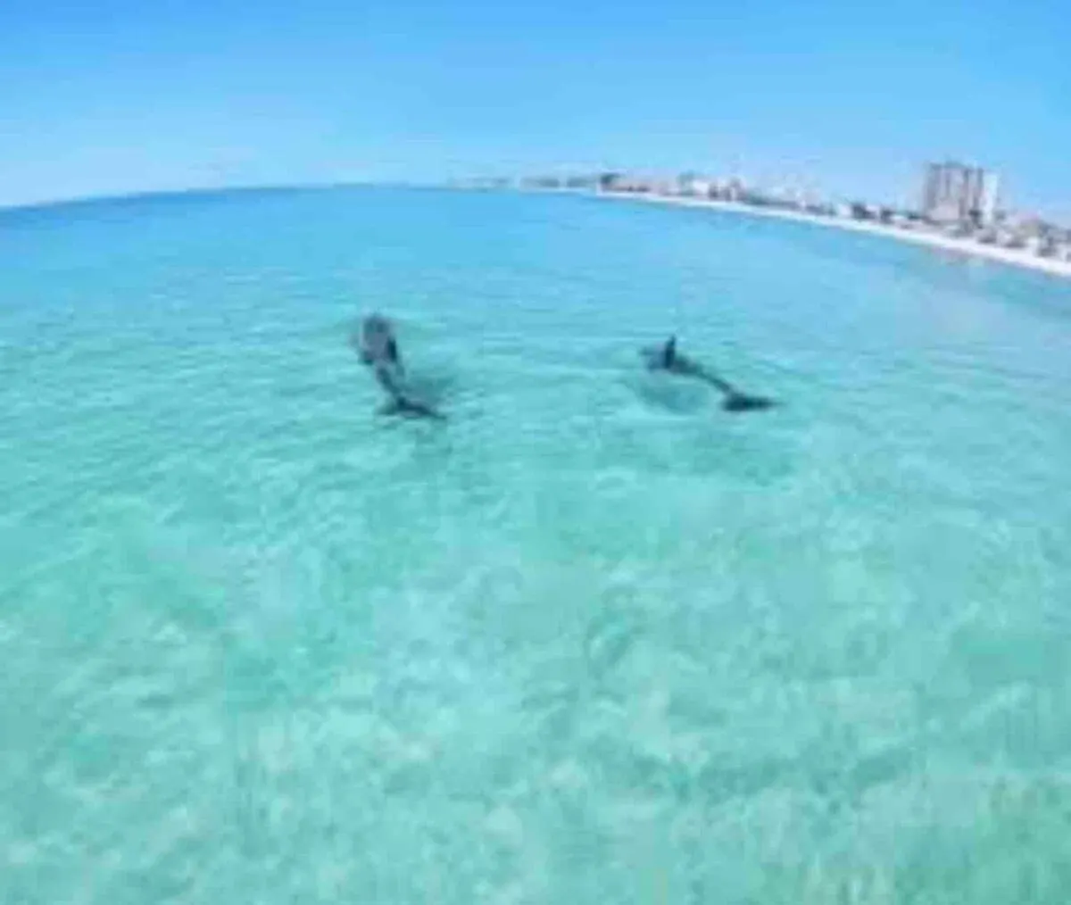 Apartment Nobles Nest Condo In Destin